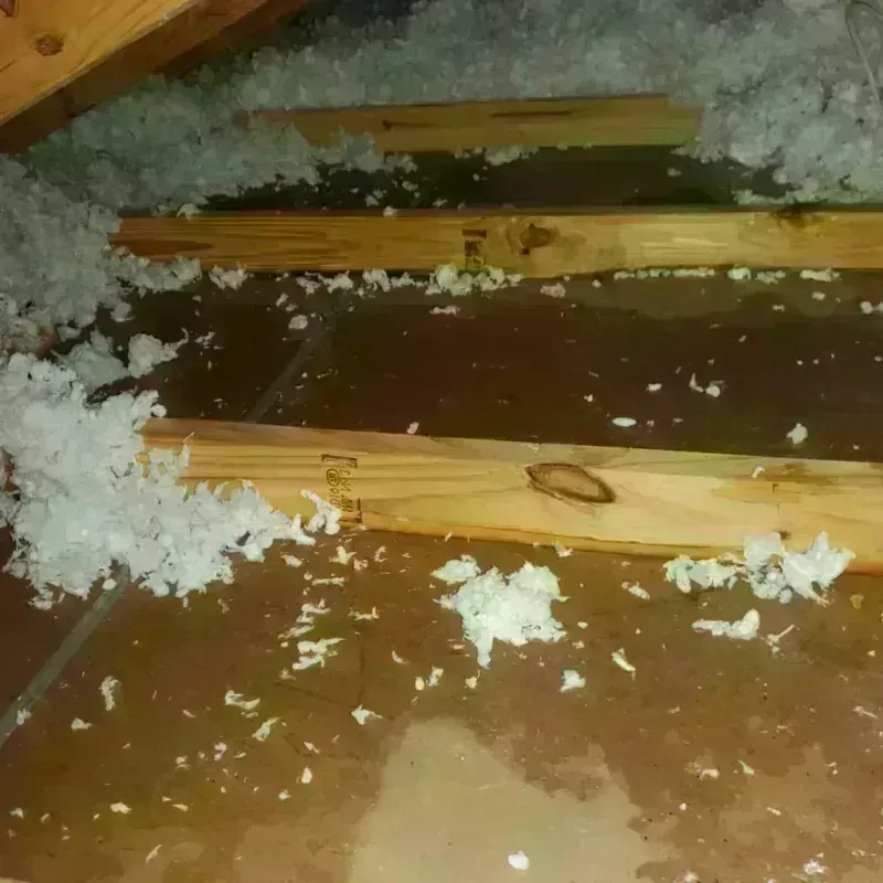 Attic Water Damage in Denair, CA