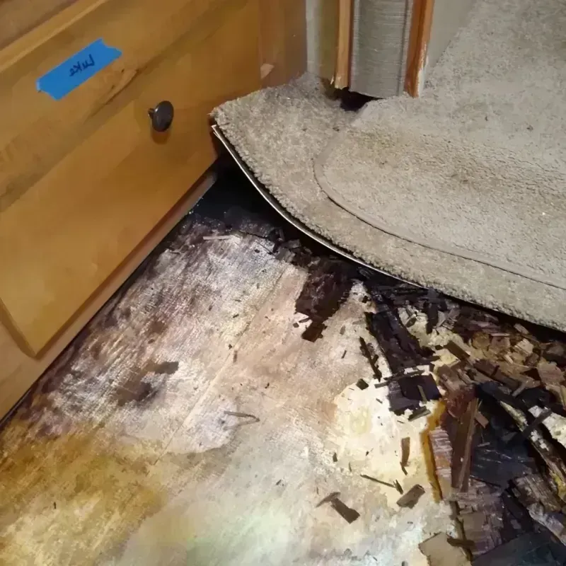 Wood Floor Water Damage in Denair, CA